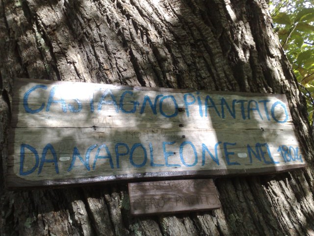 photo14.jpg