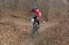 celle20ligure20220119_small.jpg