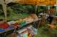 dsc_4352_small.jpg