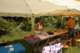 dsc_4360_small.jpg